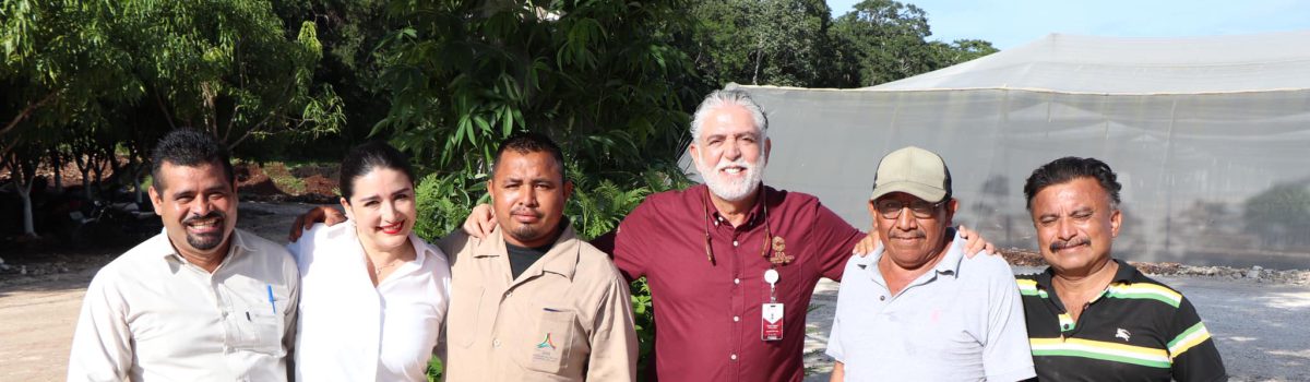Único productor de cítricos en el país propiedad de un Gobierno Estatal