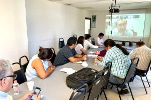 Reunión técnica virtual con los estados de la Península de Yucatán