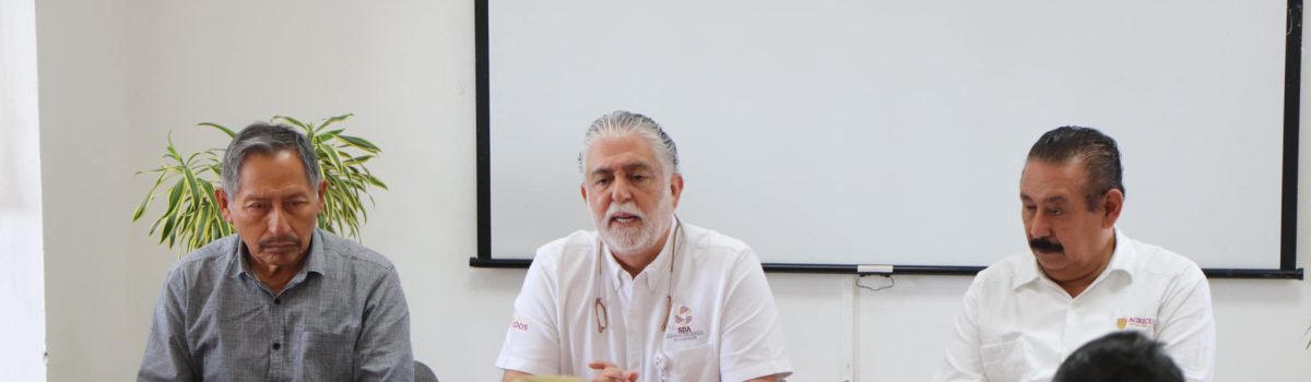 Entrega de paquetes de abejas reina F1 y progenitoras
