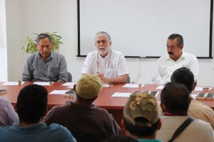Entrega de paquetes de abejas reina F1 y progenitoras