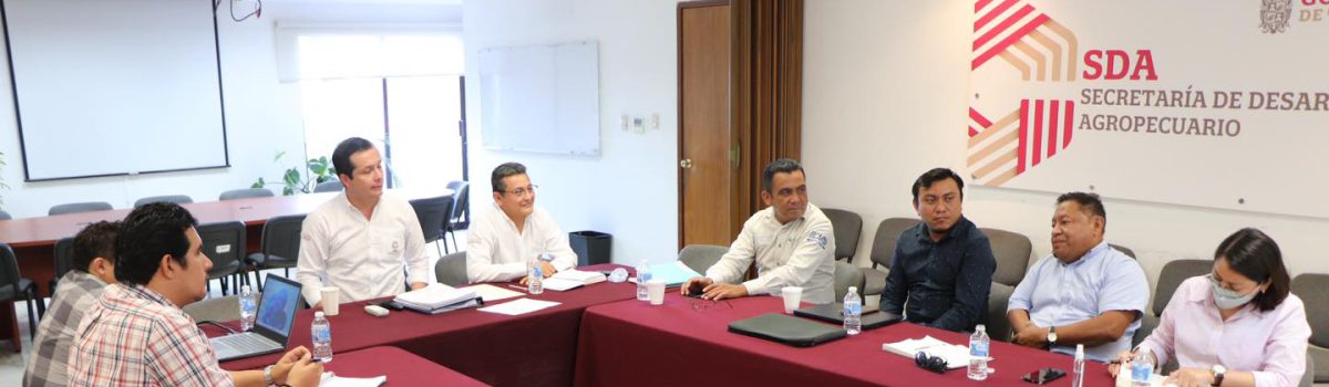 Reunión semanal mesa de la tenencia de la tierra