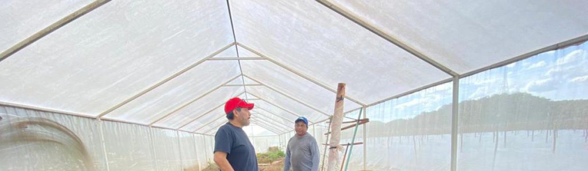 Visita a productores de maíz