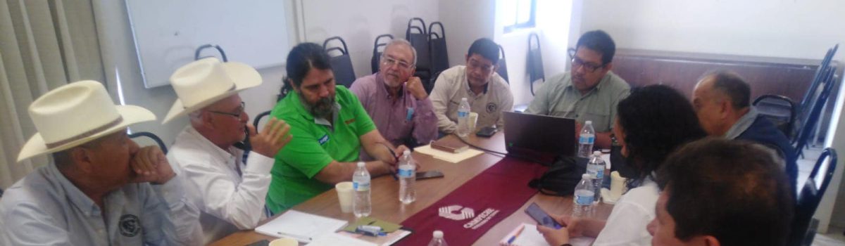 Reunión con el consejo de administración de la Asociación Ganadera Local General de Candelaria