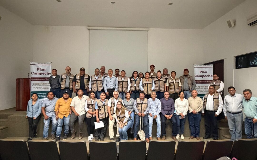 CAPACITACIONES ALINEADAS AL PLAN CAMPECHE